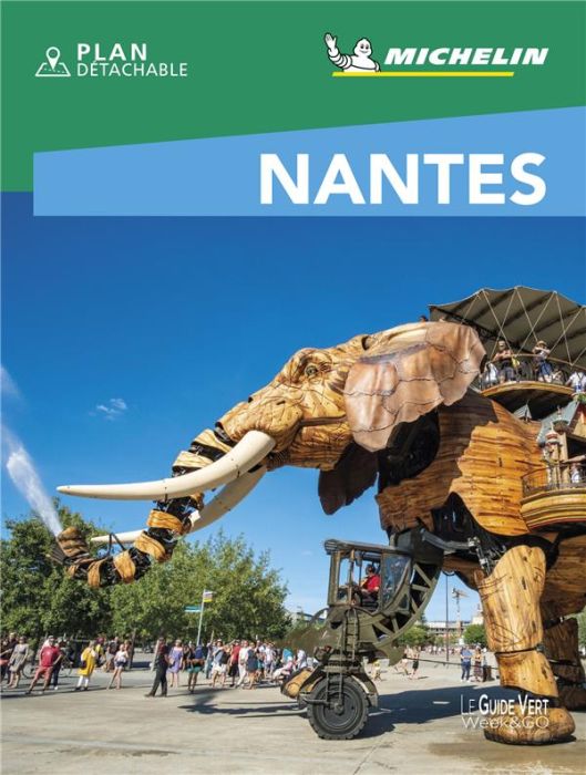 Emprunter Nantes livre
