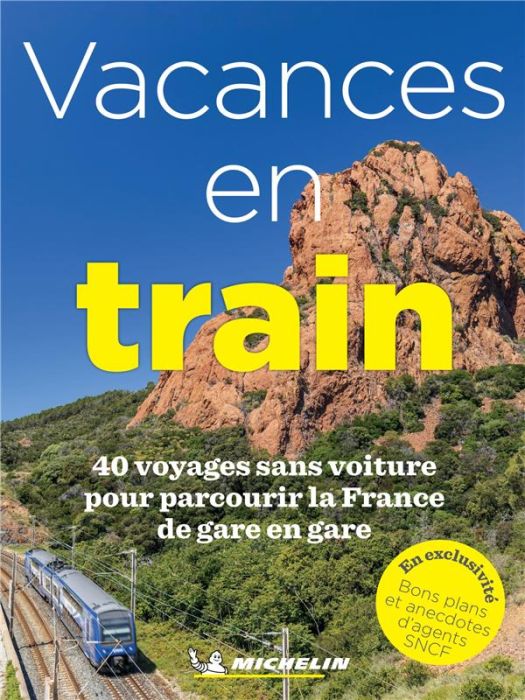 Emprunter Vacances en train. 40 voyages sans voiture pour parcourir la France de gare en gare livre