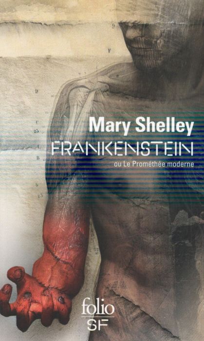 Emprunter Frankenstein. Ou Le Prométhée moderne livre