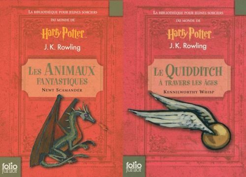 Emprunter La bibliothèque pour jeunes sorciers du monde de Harry Potter. 2 volumes Le Quidditch à travers les livre