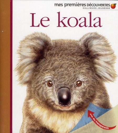 Emprunter Le koala livre