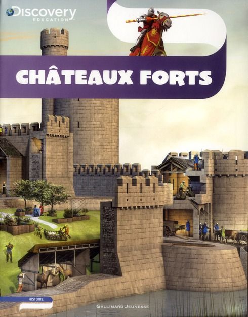 Emprunter Châteaux forts livre
