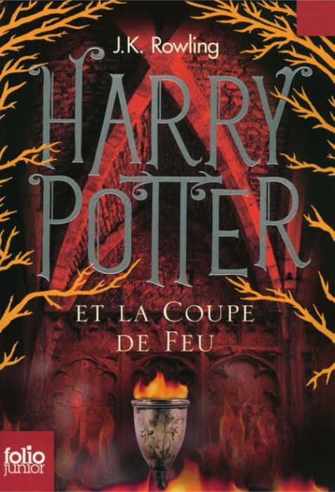 Emprunter Harry Potter Tome 4 : Harry Potter et la Coupe de feu livre
