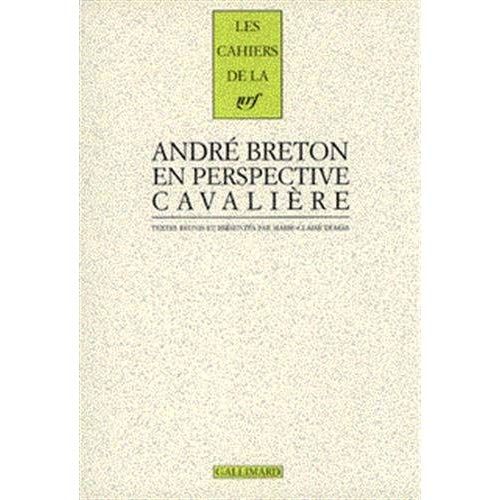 Emprunter André Breton en perspective cavalière livre