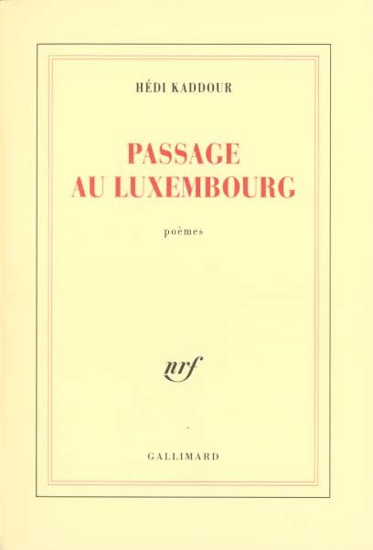Emprunter Passage au Luxembourg livre