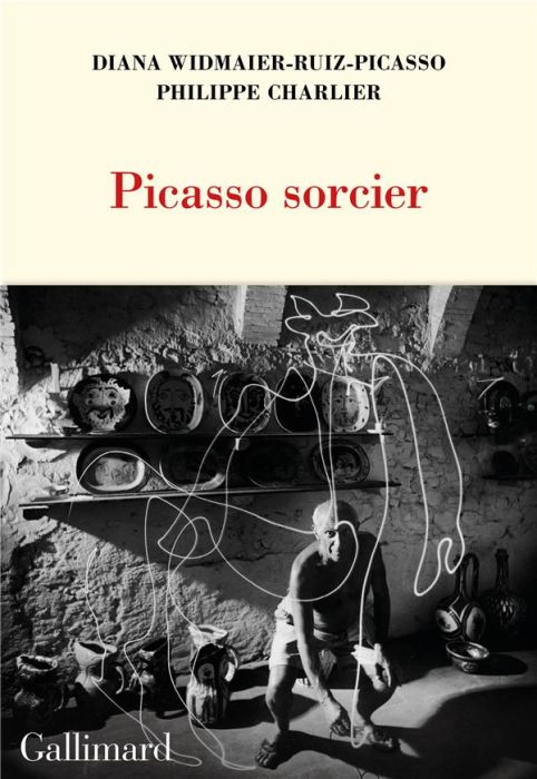 Emprunter Picasso sorcier livre