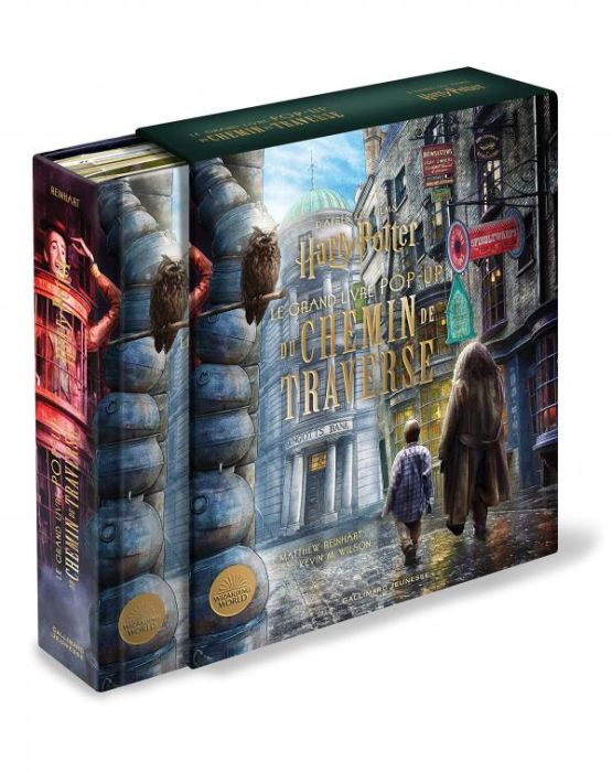 Emprunter Le grand livre pop-up du Chemin de Traverse. D'après les films Harry Potter livre