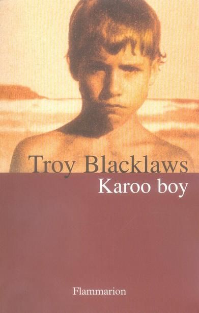 Emprunter Karoo Boy livre