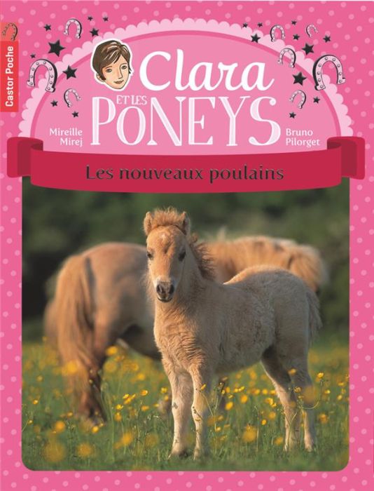 Emprunter Clara et les poneys Tome 2 : Les nouveaux poulains livre