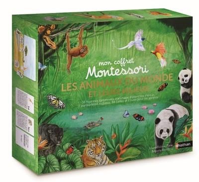 Emprunter Mon coffret Montessori : Les animaux du monde et leurs milieux. 36 figurines cartonnées d'animaux, 6 livre