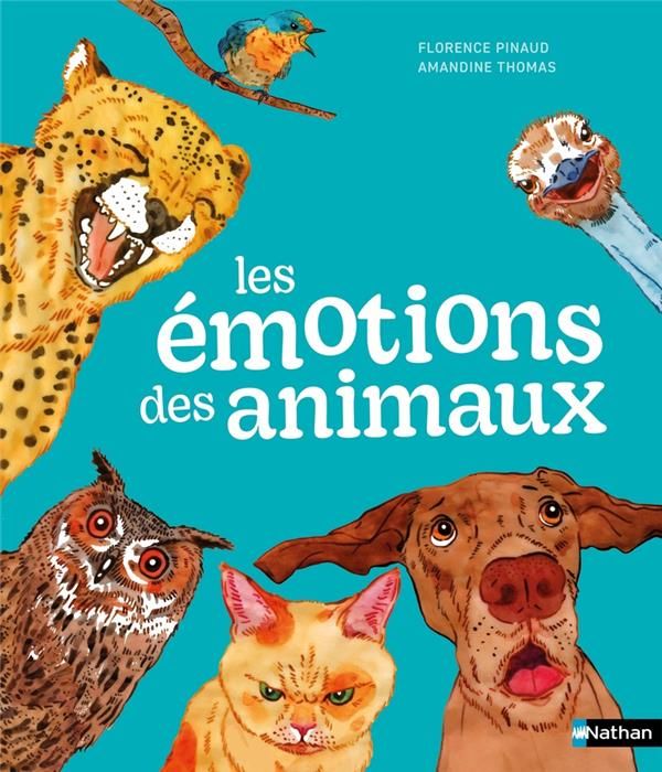 Emprunter Les émotions des animaux livre