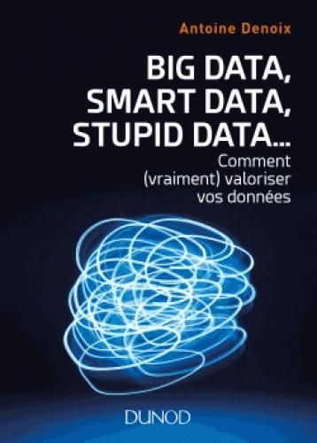 Emprunter Big Data, Smart Data, Stupid Data... Comment (vraiment) valoriser vos données. Petit manuel à l'usag livre