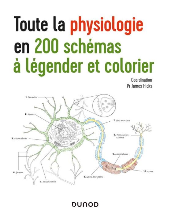 Emprunter Toute la physiologie en 200 schémas à légender et colorier livre