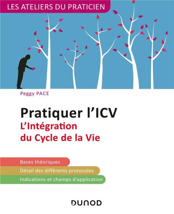 Emprunter Pratiquer l'ICV. L'Intégration du Cycle de la Vie, 2e édition livre