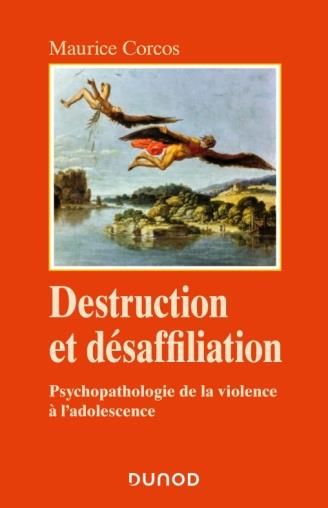 Emprunter Destruction et désaffiliation. Psychopathologie de la violence adolescente livre