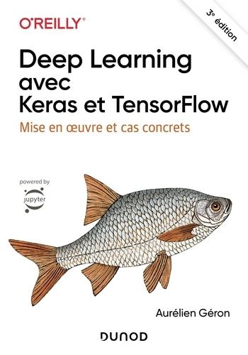 Emprunter Deep Learning avec Keras et TensorFlow. Mise en oeuvre et cas concrets, 3e édition livre