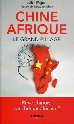 Emprunter Chine, Afrique, le grand pillage livre