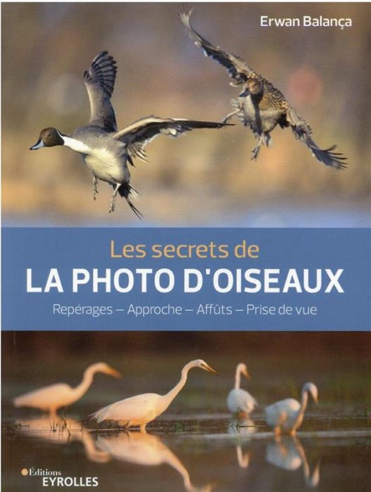 Emprunter Les secrets de la photo d'oiseaux. Repérages - Approche - Affûts - Prise de vue livre