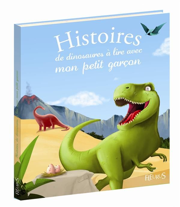 Emprunter Histoires de dinosaures à lire avec mon petit garçon livre