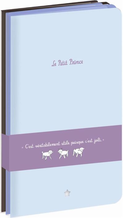 Emprunter Les carnets du Petit Prince livre