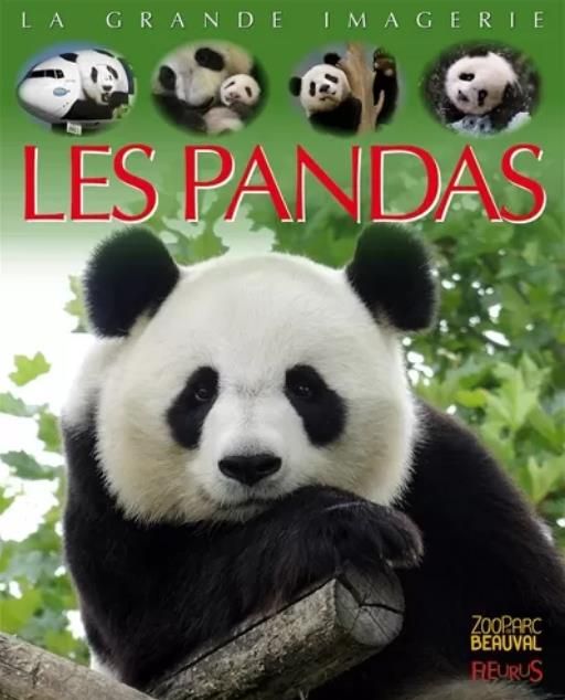 Emprunter Les pandas livre