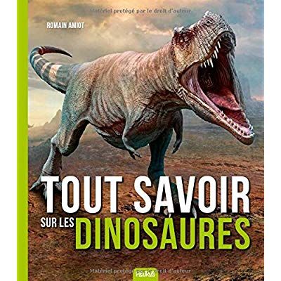 Emprunter Tout savoir sur les dinosaures livre