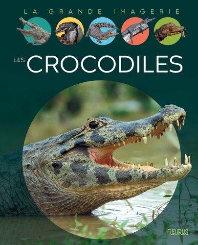Emprunter Les crocodiles livre