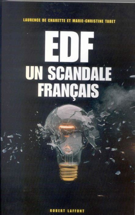 Emprunter EDF un scandale français livre