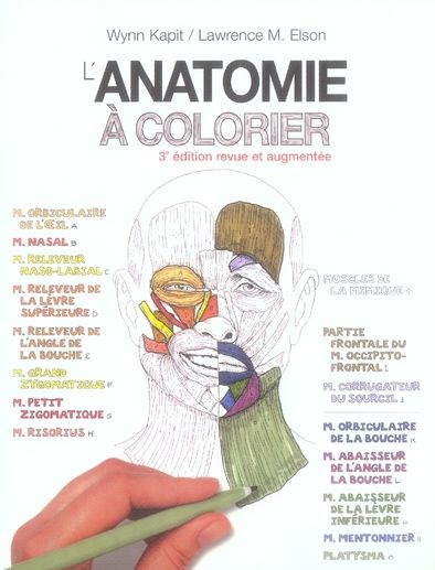 Emprunter L'anatomie à colorier. 3e édition revue et augmentée livre