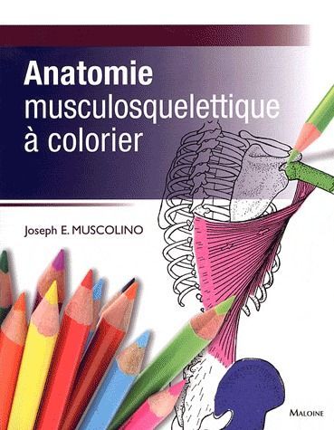 Emprunter Anatomie musculosquelettique à colorier livre