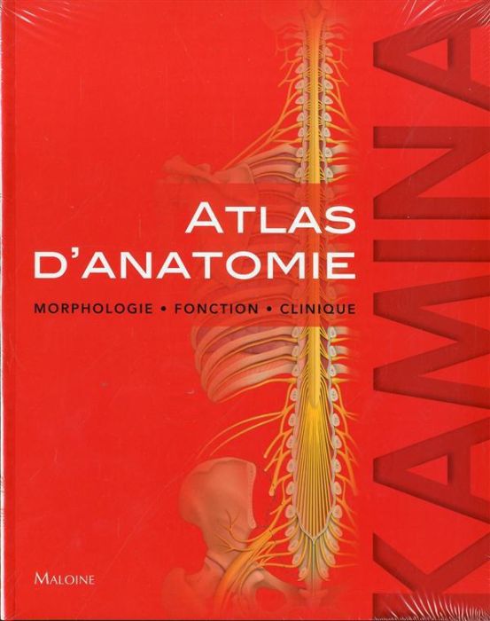 Emprunter Atlas d'anatomie. Morphologie, fonction, clinique livre
