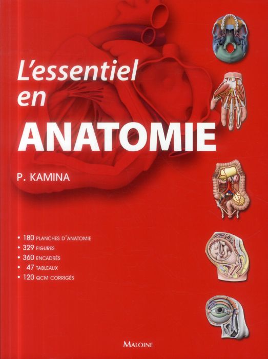 Emprunter L'essentiel en anatomie livre