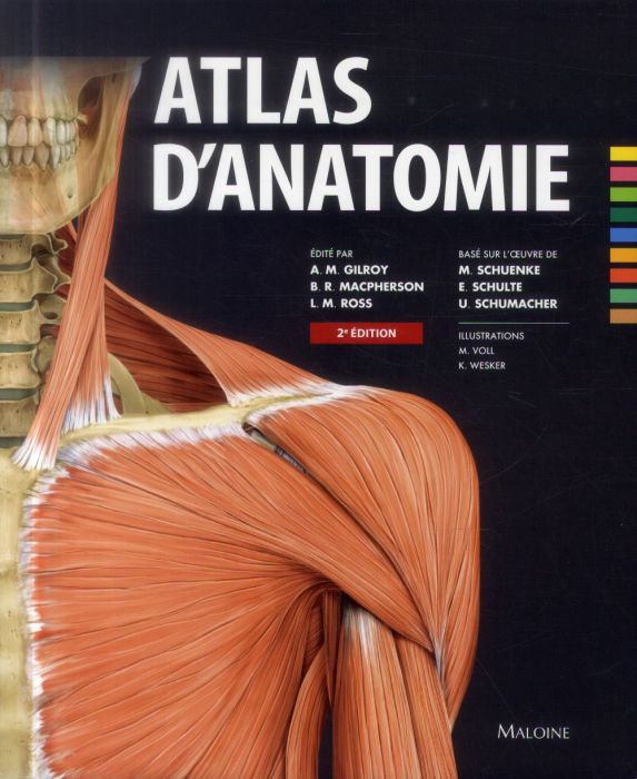 Emprunter Atlas d'anatomie. 2e édition livre
