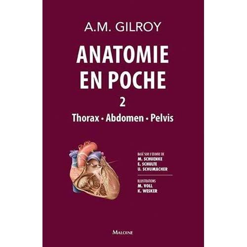 Emprunter Anatomie en poche. Thorax, abdomen, pelvis, volume 2 livre