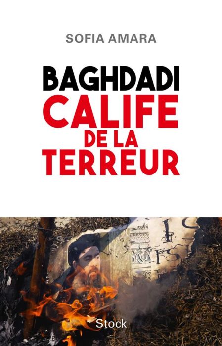 Emprunter Baghdadi. Calife de la terreur livre