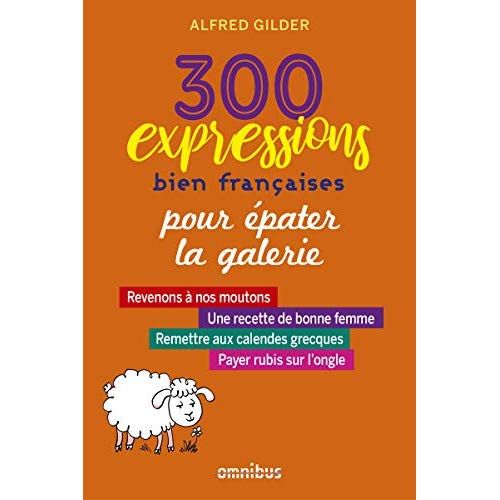 Emprunter 300 expressions bien françaises pour épater la galerie livre