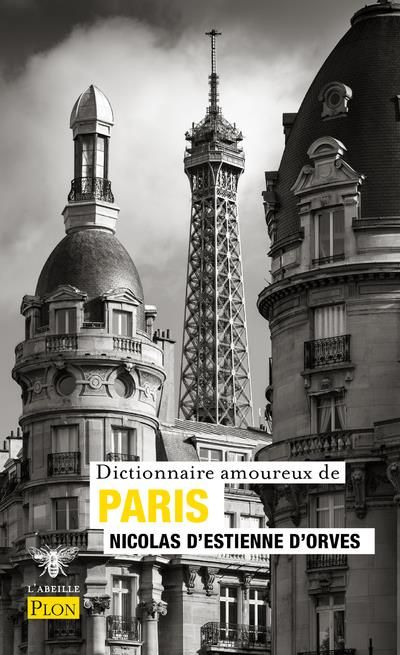 Emprunter Dictionnaire amoureux de Paris livre