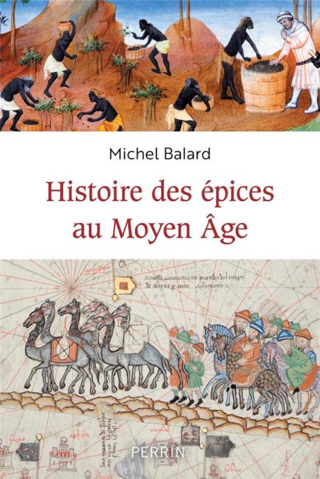 Emprunter Histoire des épices au Moyen-âge livre