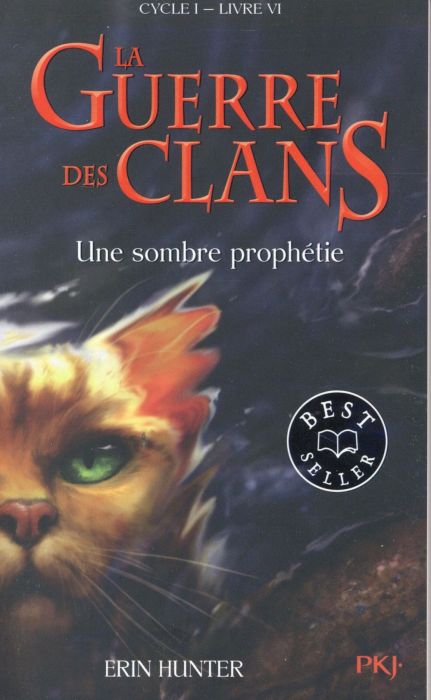 Emprunter La Guerre des Clans (Cycle 1) Tome 6 : Une sombre prophétie livre