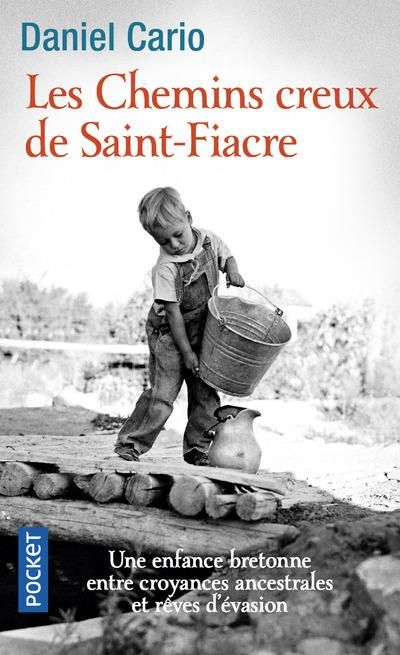 Emprunter Les chemins creux de Saint-Fiacre livre