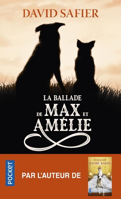 Emprunter La ballade de Max et Amélie livre