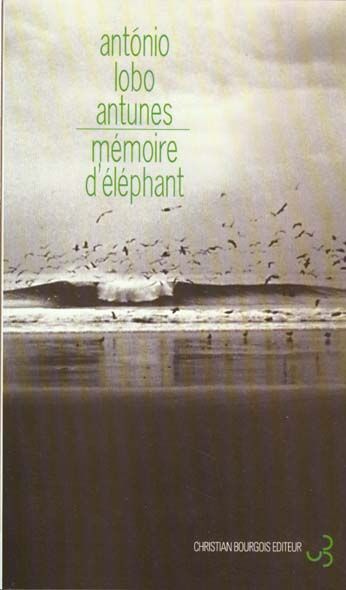 Emprunter Mémoire d'éléphant livre