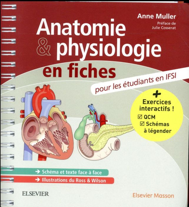 Emprunter Anatomie et physiologie en fiches pour les étudiants en IFSI livre