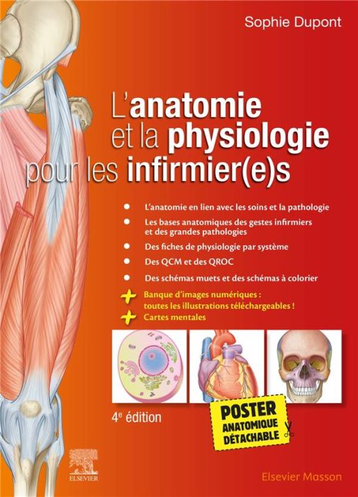 Emprunter L'anatomie et la physiologie pour les infirmier(e)s. Avec 1 poster anatomique détachable, 4e édition livre