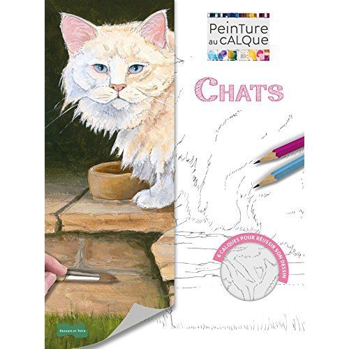 Emprunter Les chats peinture au calque livre