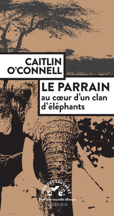 Emprunter Le Parrain, au coeur d'un clan d'éléphants livre
