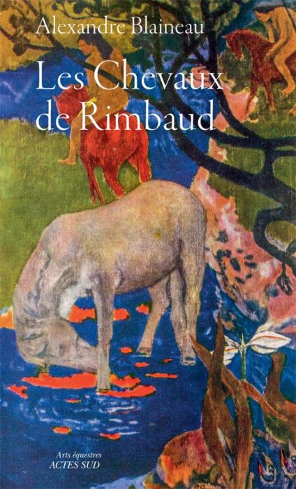 Emprunter Les chevaux de Rimbaud livre