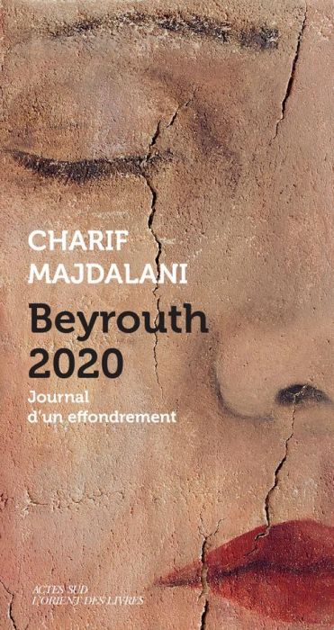 Emprunter Beyrouth 2020. Journal d'un effondrement livre