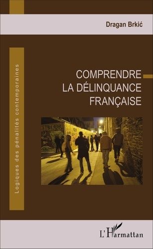 Emprunter Comprendre la délinquance française livre