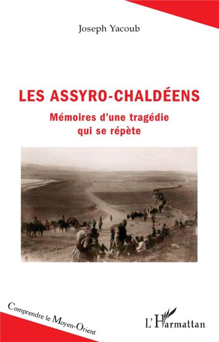 Emprunter Les Assyro-Chaldéens. Mémoires d'une tragédie qui se répète livre